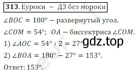 Решение 3. номер 313 (страница 84) гдз по математике 5 класс Мерзляк, Полонский, учебник