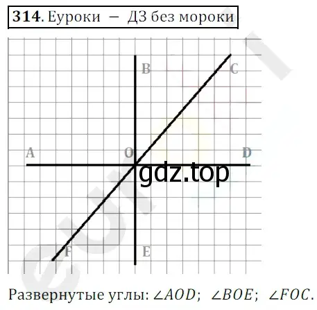 Решение 3. номер 314 (страница 84) гдз по математике 5 класс Мерзляк, Полонский, учебник