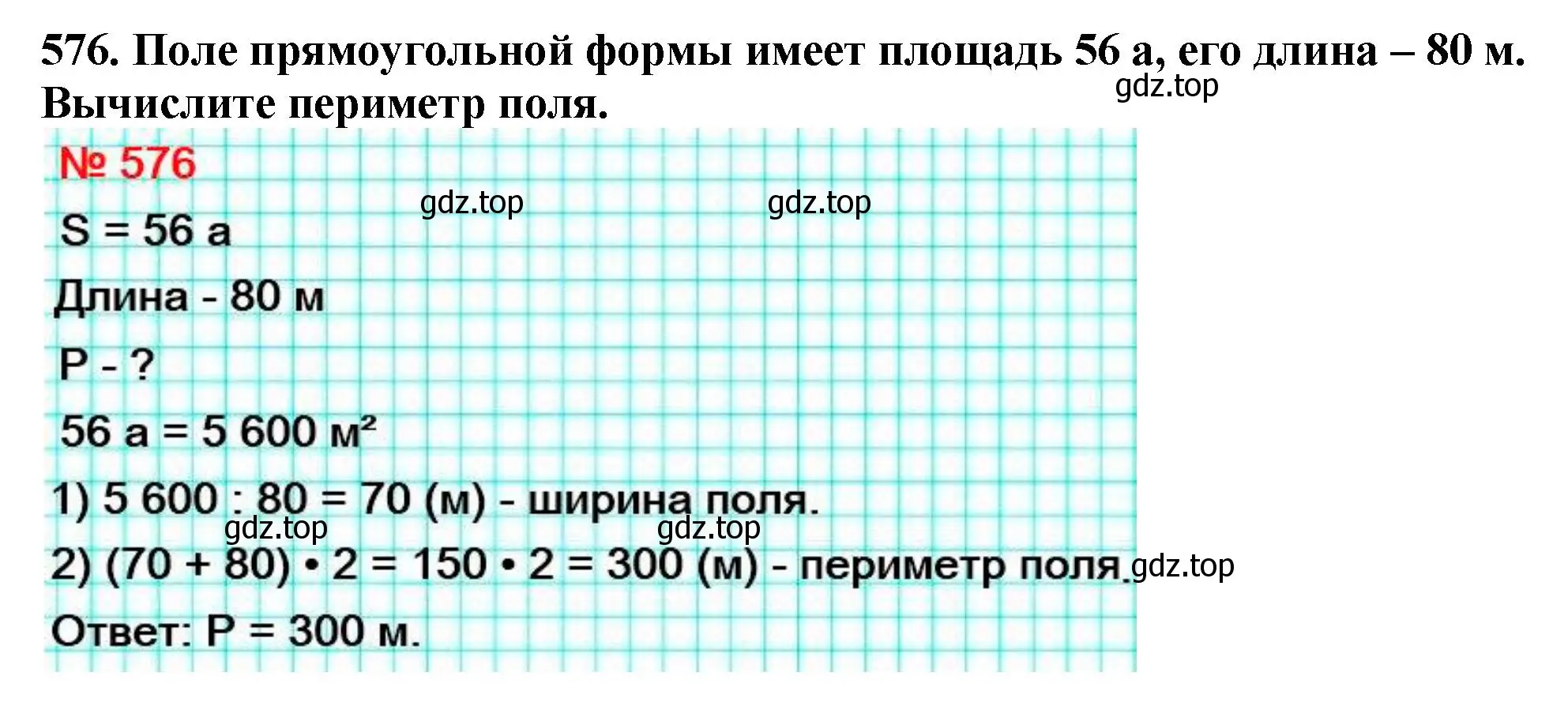 Решение 4. номер 576 (страница 142) гдз по математике 5 класс Мерзляк, Полонский, учебник