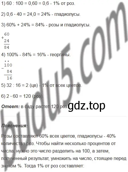 Решение 5. номер 1115 (страница 262) гдз по математике 5 класс Мерзляк, Полонский, учебник