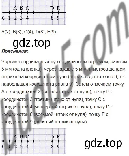 Решение 5. номер 118 (страница 37) гдз по математике 5 класс Мерзляк, Полонский, учебник