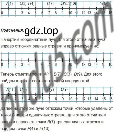 Решение 5. номер 239 (страница 63) гдз по математике 5 класс Мерзляк, Полонский, учебник