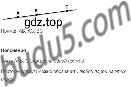 Решение 5. номер 86 (страница 29) гдз по математике 5 класс Мерзляк, Полонский, учебник