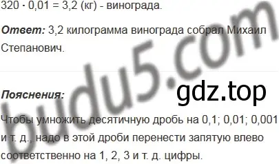 Решение 5. номер 987 (страница 243) гдз по математике 5 класс Мерзляк, Полонский, учебник