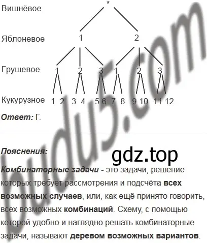 Решение 5. номер 5 (страница 286) гдз по математике 5 класс Мерзляк, Полонский, учебник