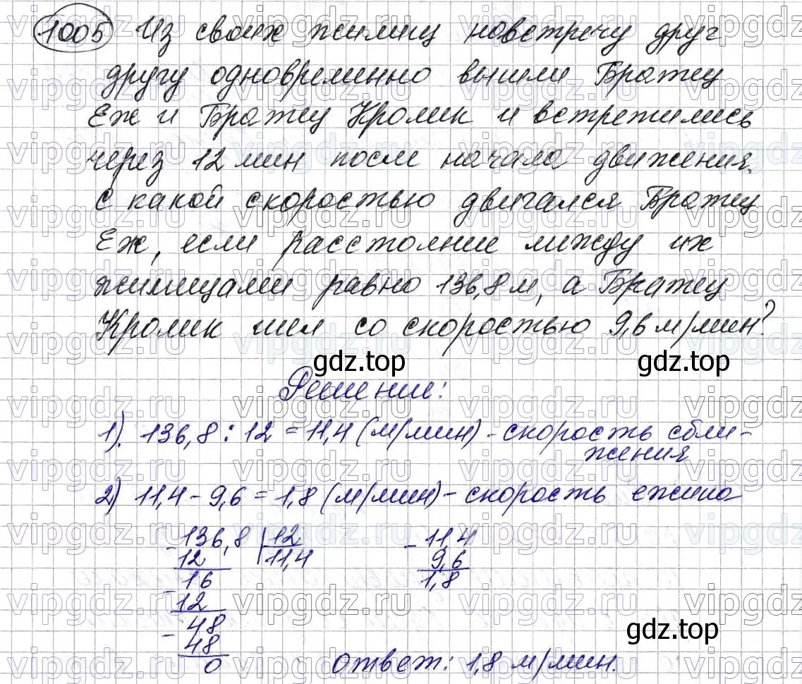 Решение 6. номер 1005 (страница 244) гдз по математике 5 класс Мерзляк, Полонский, учебник