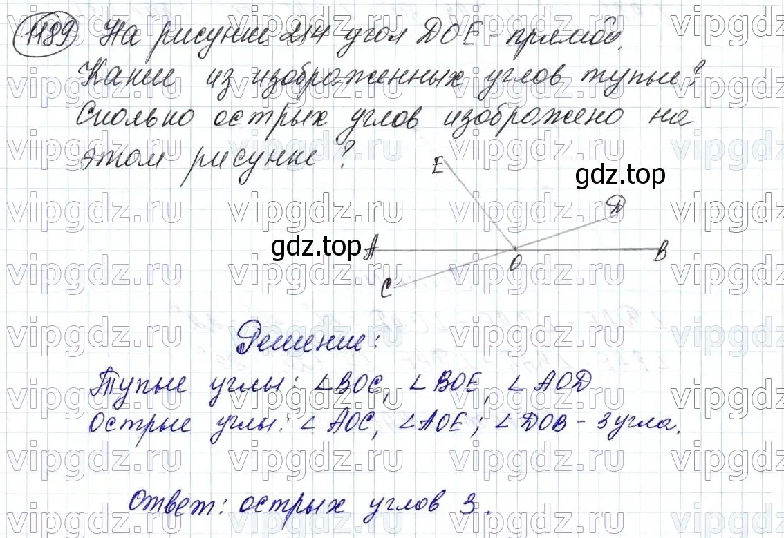 Решение 6. номер 1189 (страница 281) гдз по математике 5 класс Мерзляк, Полонский, учебник