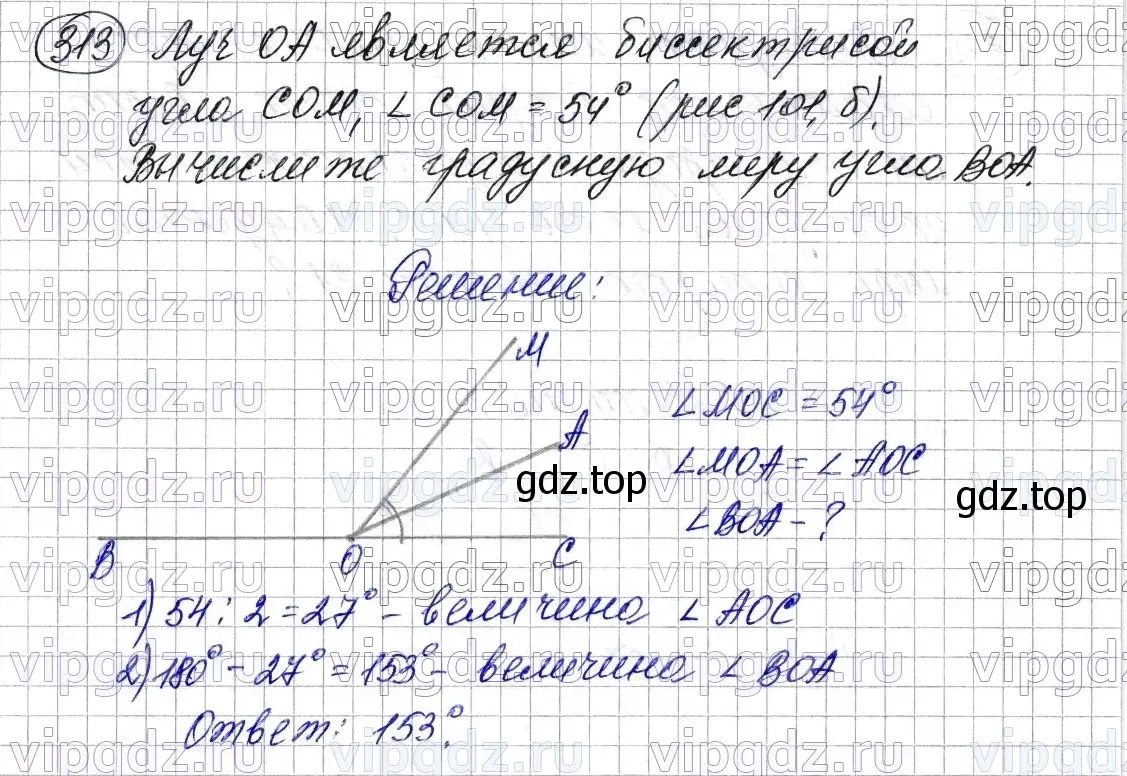 Решение 6. номер 313 (страница 84) гдз по математике 5 класс Мерзляк, Полонский, учебник