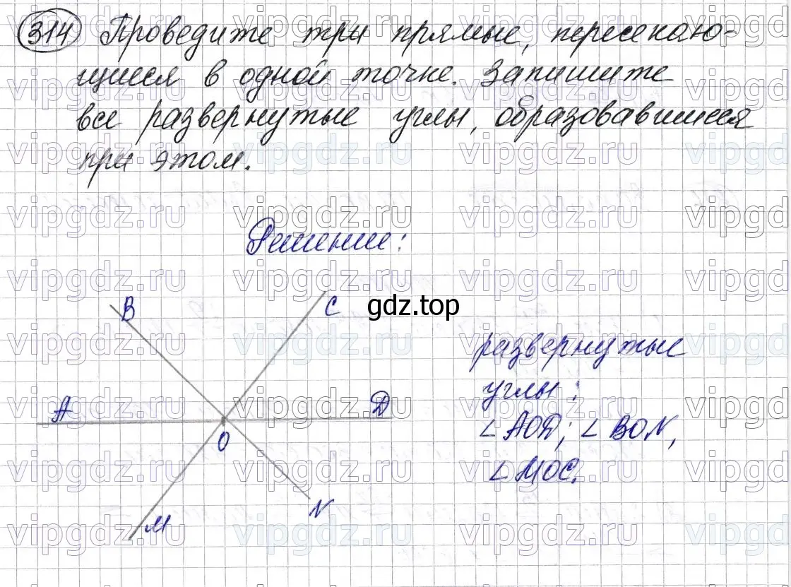 Решение 6. номер 314 (страница 84) гдз по математике 5 класс Мерзляк, Полонский, учебник