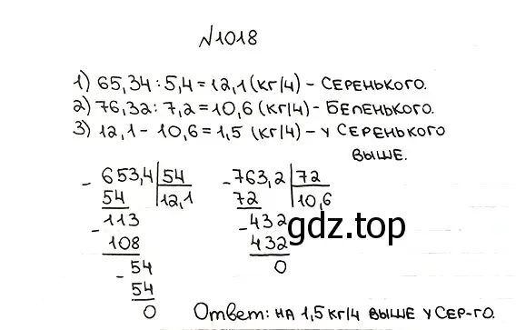 Решение 7. номер 1018 (страница 246) гдз по математике 5 класс Мерзляк, Полонский, учебник