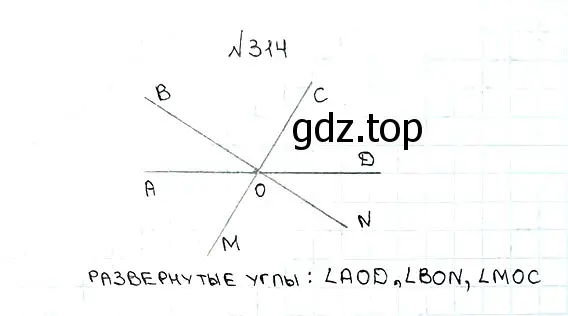 Решение 7. номер 314 (страница 84) гдз по математике 5 класс Мерзляк, Полонский, учебник