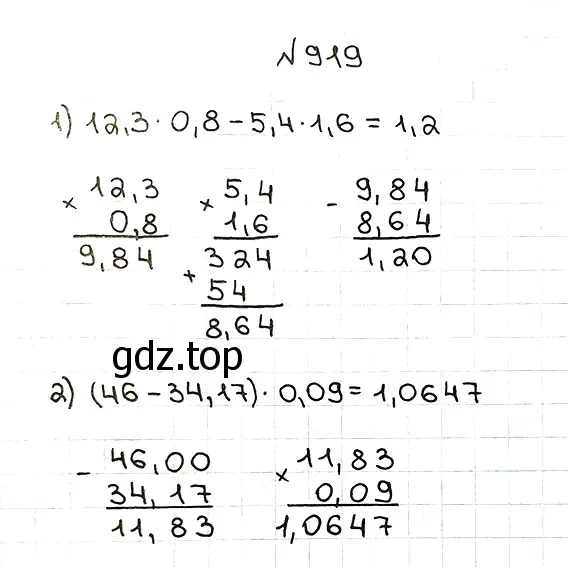 Решение 7. номер 919 (страница 232) гдз по математике 5 класс Мерзляк, Полонский, учебник