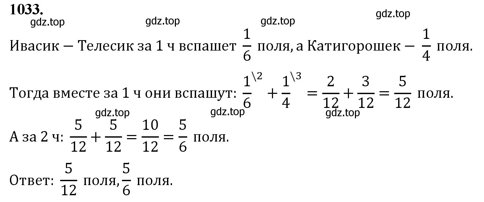 Решение номер 1033 (страница 233) гдз по математике 5 класс Мерзляк, Полонский, учебник