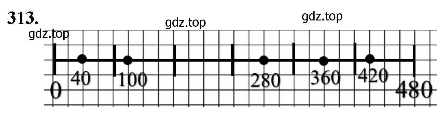 Решение номер 313 (страница 81) гдз по математике 5 класс Мерзляк, Полонский, учебник