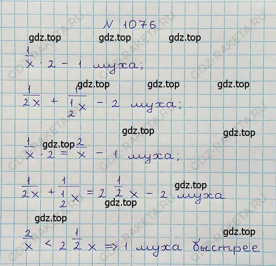 Решение 5. номер 4.351 (страница 246) гдз по математике 5 класс Никольский, Потапов, учебник