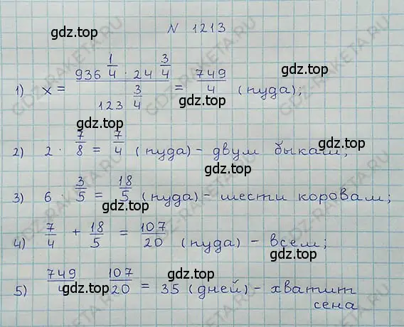 Решение 5. номер 121 (страница 294) гдз по математике 5 класс Никольский, Потапов, учебник