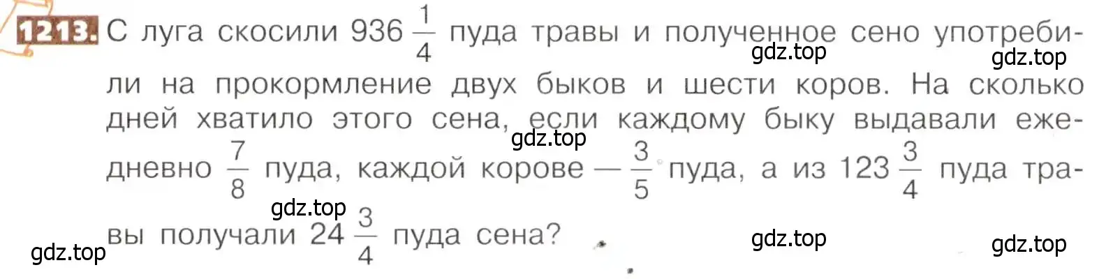 Условие номер 1213 (страница 262) гдз по математике 5 класс Никольский, Потапов, учебник