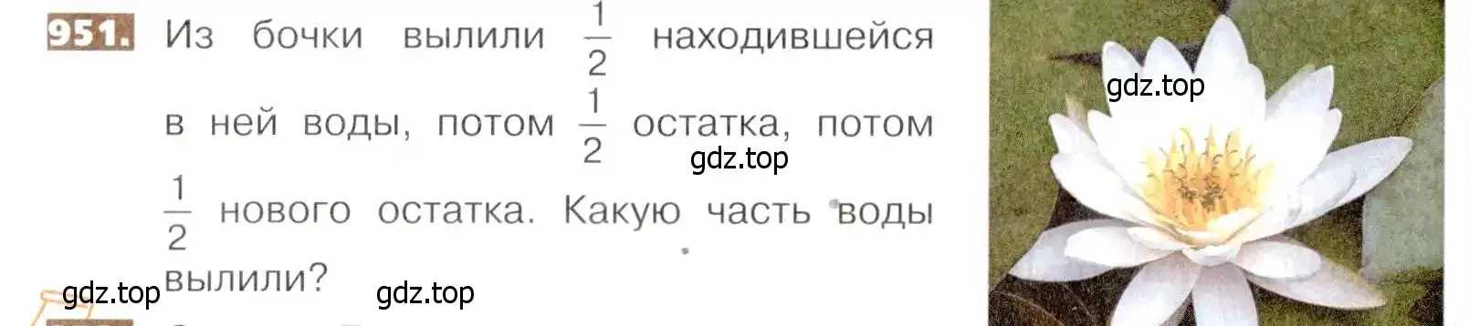 Условие номер 951 (страница 210) гдз по математике 5 класс Никольский, Потапов, учебник