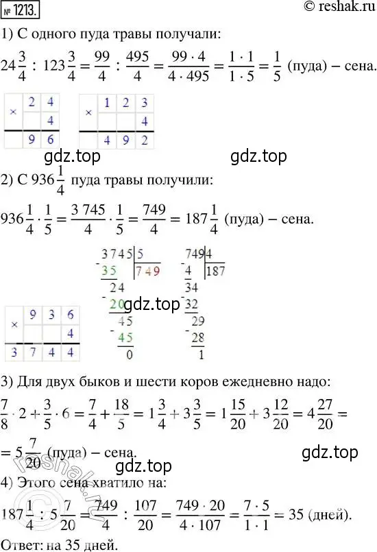 Решение 2. номер 1213 (страница 262) гдз по математике 5 класс Никольский, Потапов, учебник