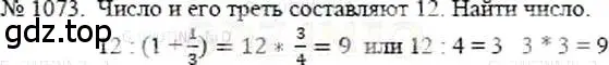 Решение 5. номер 1073 (страница 241) гдз по математике 5 класс Никольский, Потапов, учебник