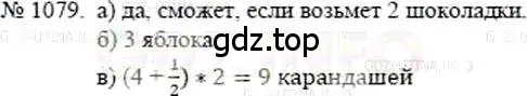 Решение 5. номер 1079 (страница 242) гдз по математике 5 класс Никольский, Потапов, учебник