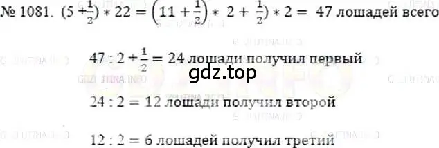 Решение 5. номер 1081 (страница 243) гдз по математике 5 класс Никольский, Потапов, учебник