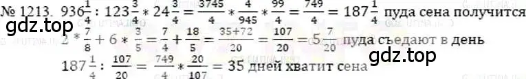 Решение 5. номер 1213 (страница 262) гдз по математике 5 класс Никольский, Потапов, учебник