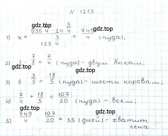 Решение 6. номер 1213 (страница 262) гдз по математике 5 класс Никольский, Потапов, учебник