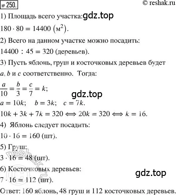 Решение 2. номер 250 (страница 61) гдз по математике 6 класс Петерсон, Дорофеев, учебник 2 часть