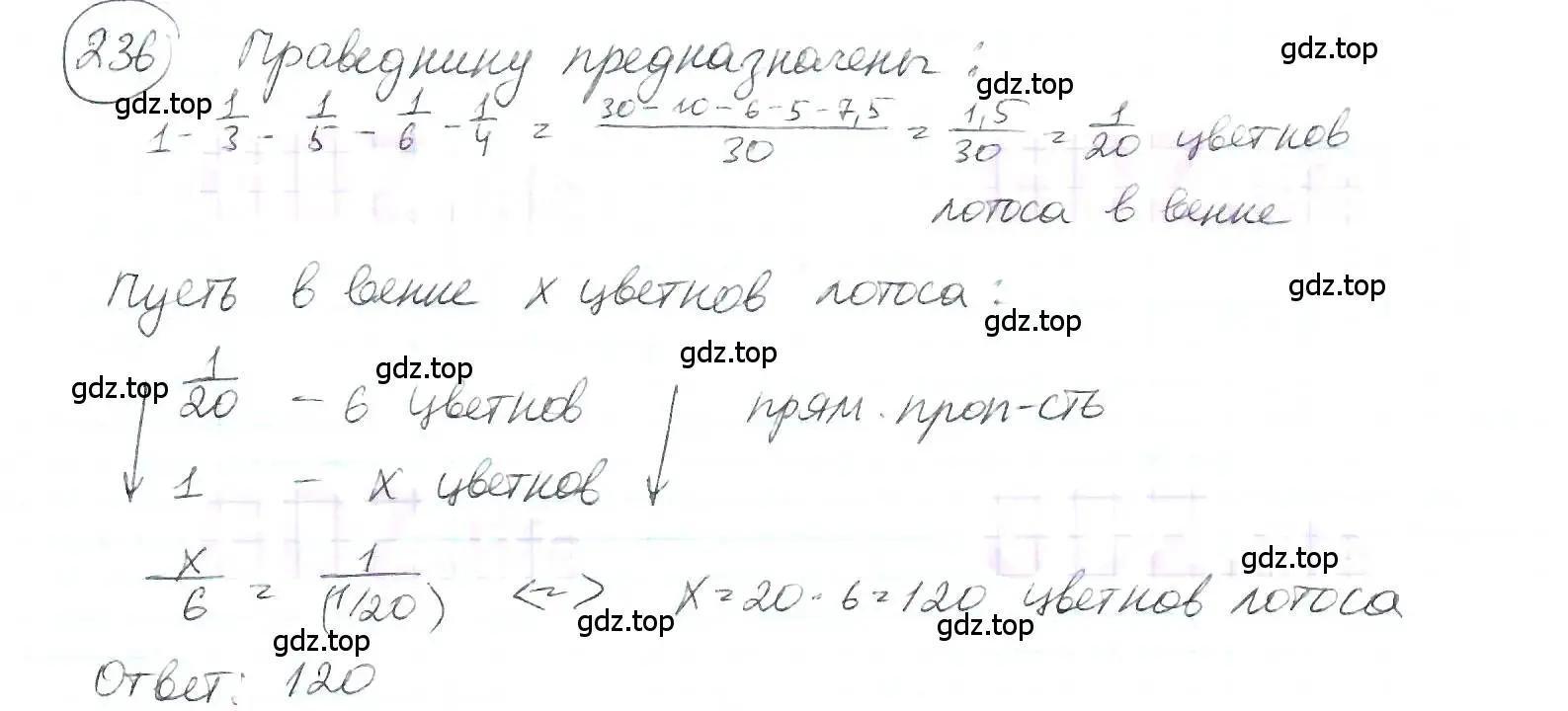 Решение 3. номер 236 (страница 58) гдз по математике 6 класс Петерсон, Дорофеев, учебник 2 часть