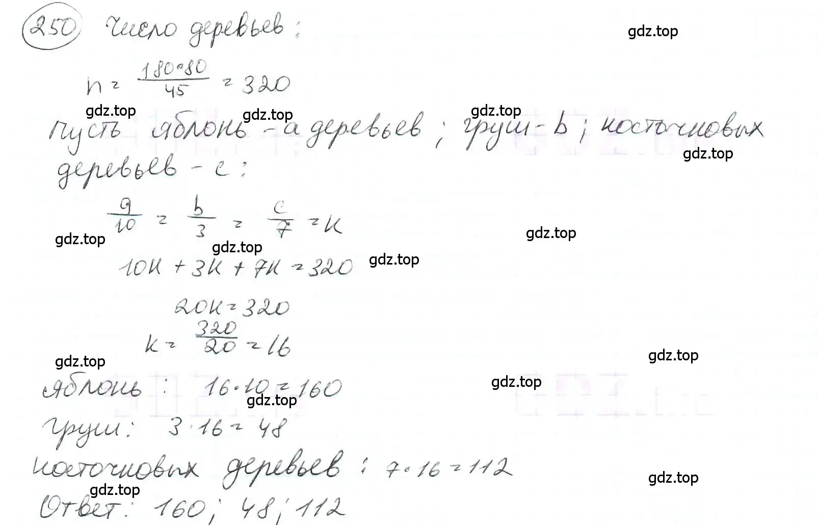 Решение 3. номер 250 (страница 61) гдз по математике 6 класс Петерсон, Дорофеев, учебник 2 часть