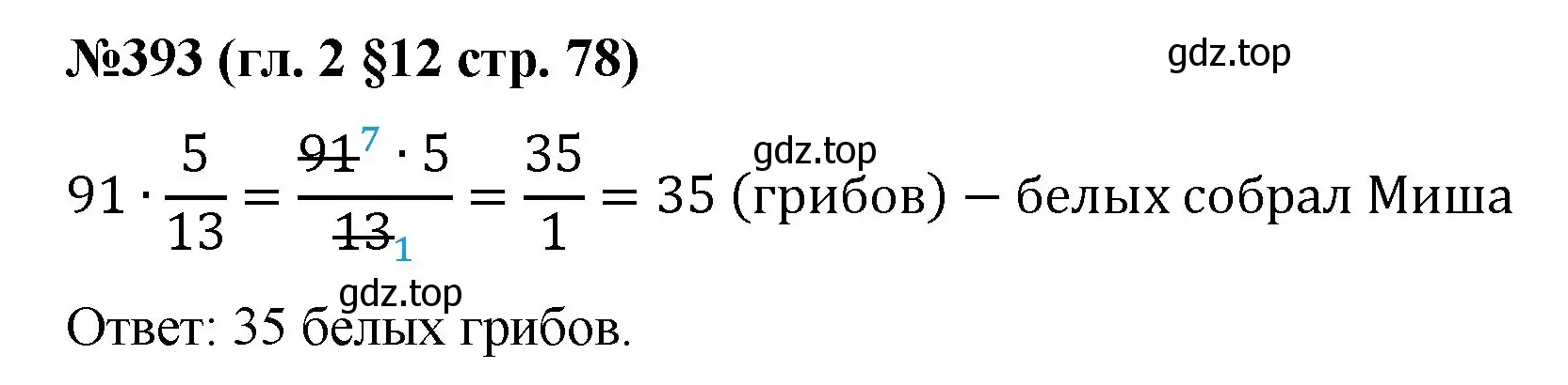 Решение номер 393 (страница 78) гдз по математике 6 класс Мерзляк, Полонский, учебник