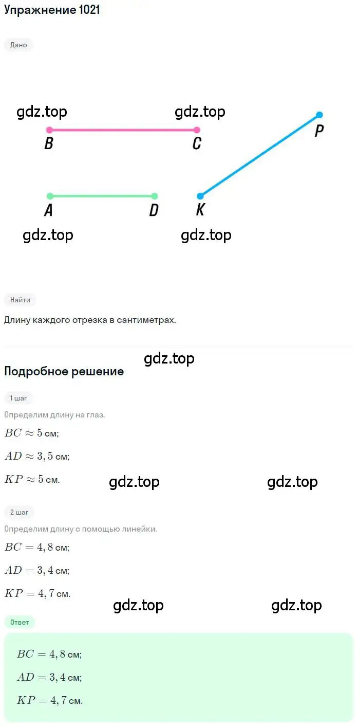 Решение номер 1021 (страница 207) гдз по математике 6 класс Никольский, Потапов, учебник