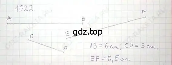 Решение 5. номер 1022 (страница 207) гдз по математике 6 класс Никольский, Потапов, учебник