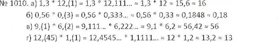 Решение 7. номер 1010 (страница 203) гдз по математике 6 класс Никольский, Потапов, учебник