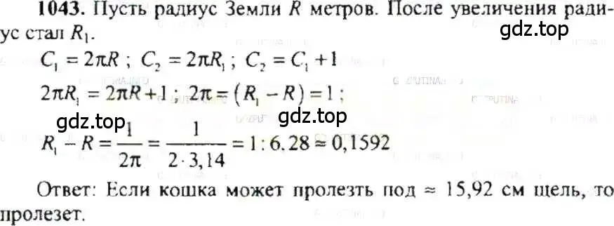 Решение 9. номер 1043 (страница 210) гдз по математике 6 класс Никольский, Потапов, учебник