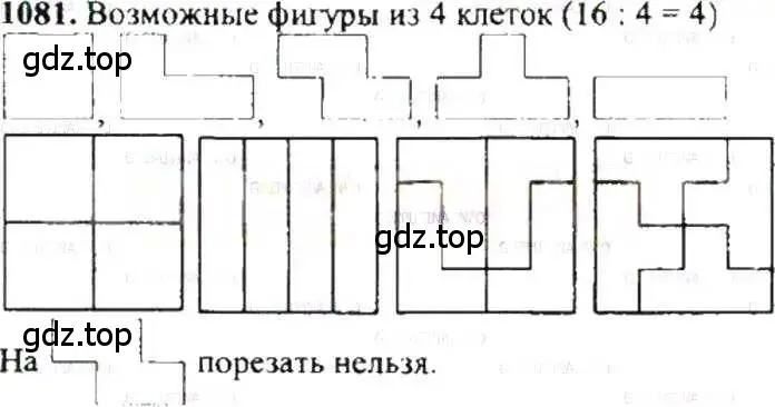 Решение 9. номер 1081 (страница 225) гдз по математике 6 класс Никольский, Потапов, учебник