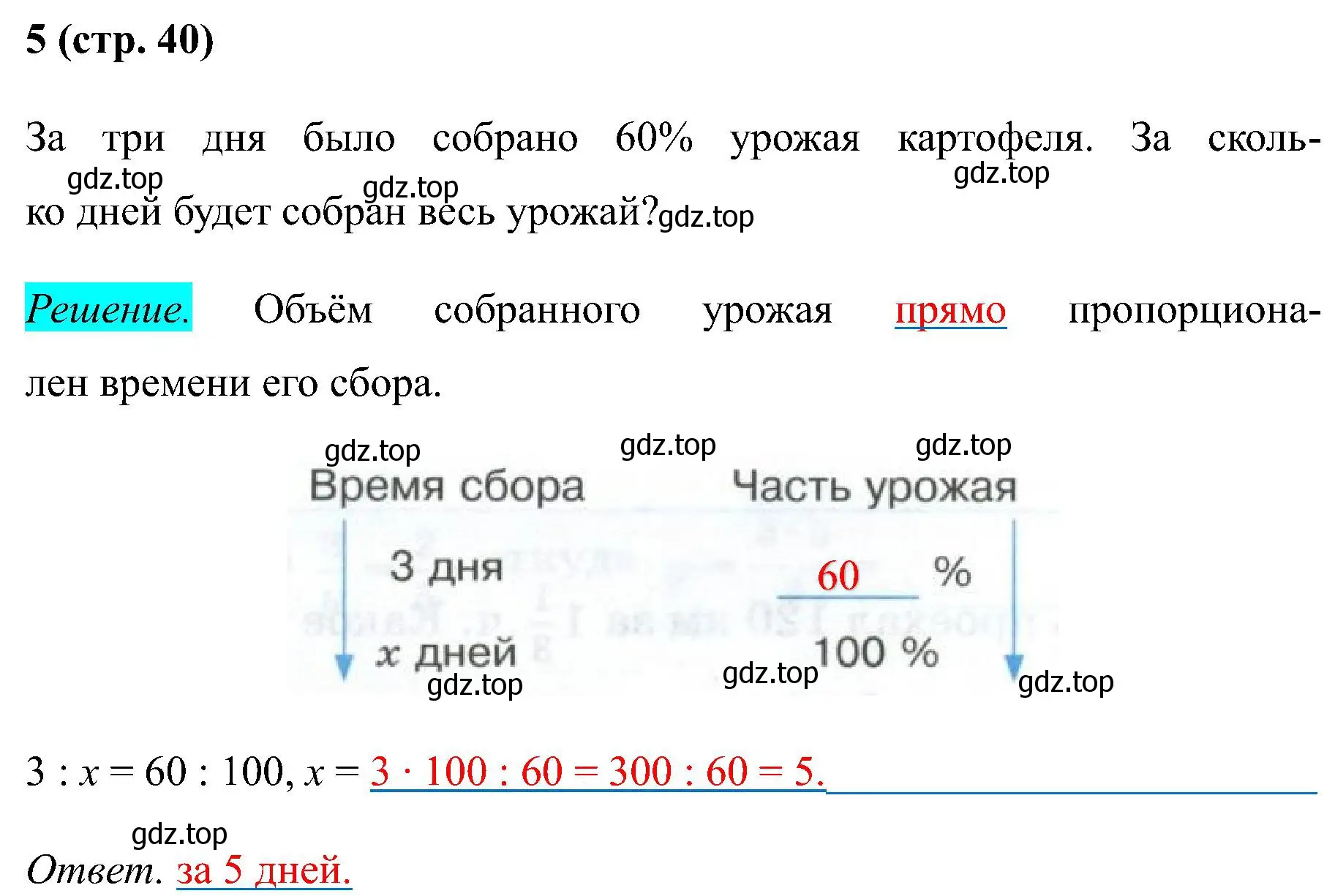 Решение номер 5 (страница 40) гдз по математике 6 класс Ткачева, рабочая тетрадь