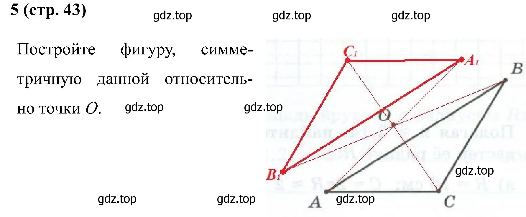 Решение номер 5 (страница 43) гдз по математике 6 класс Ткачева, рабочая тетрадь