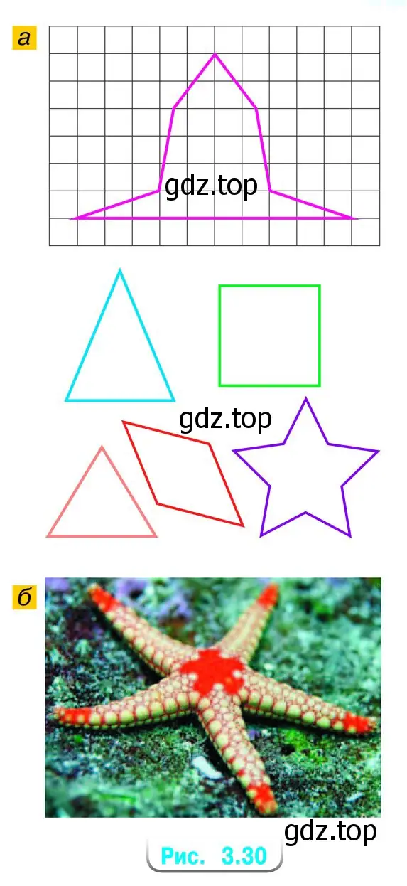  а) На рисунке 3.30, а изображены фигуры. Какие из них имеют одну ось симметрии, две оси симметрии, более двух осей симметрии, имеют центр симметрии? б) Сколько осей симметрии можно указать на фотографии морской звезды (рис. 3.30, б)? Есть ли у неё центр симметрии?