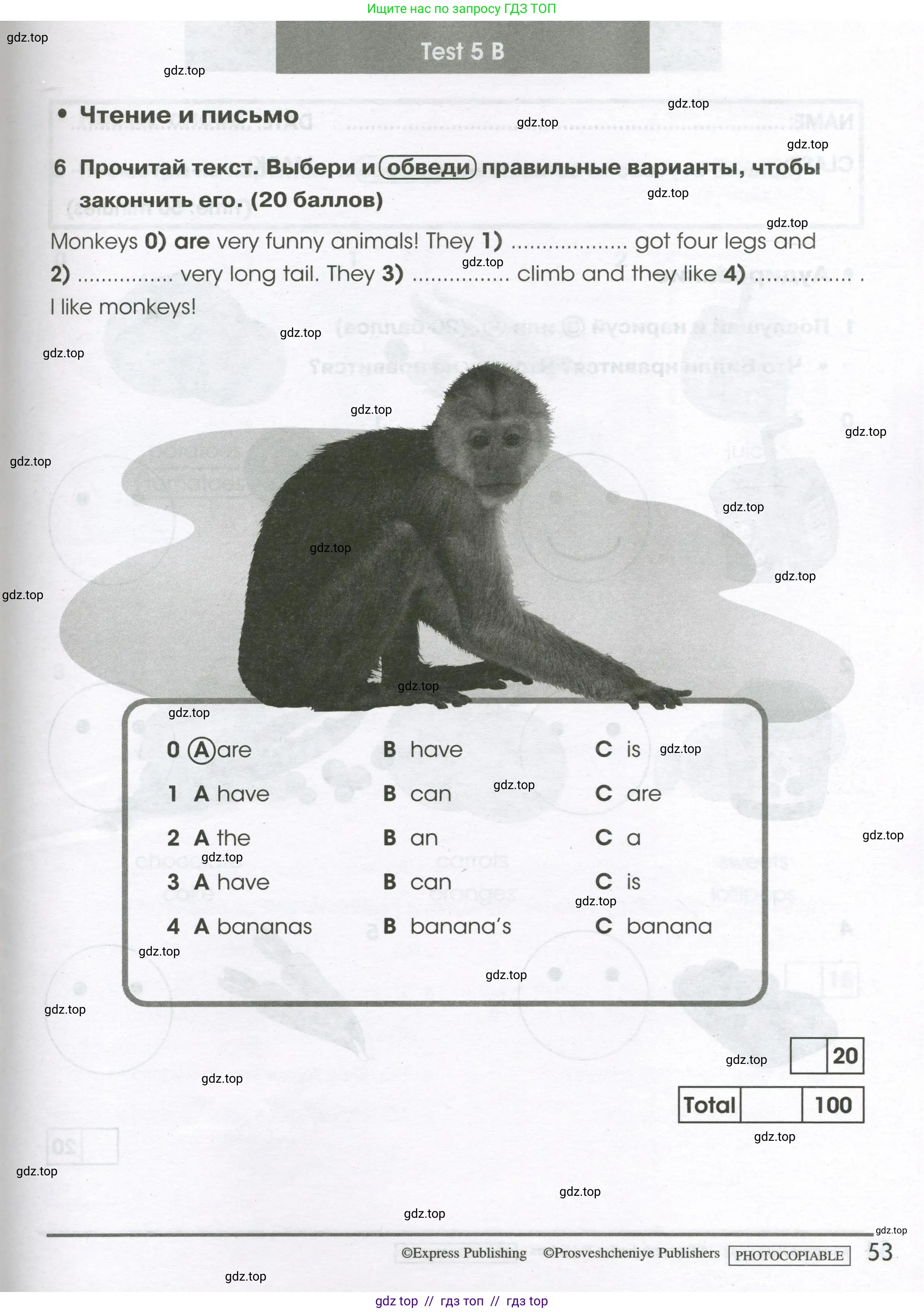 Английский язык (english), 2 класс контрольные задания (test booklet), авторы: Баранова Ксения Михайловна (Baranova Ksenia), Дули Дженни (Dooley Jenny), Копылова Виктория Викторовна (Kopylova Victoria), Мильруд Радислав Петрович (Millrood Radislav), Эванс Вирджиния (Evans Virginia), издательство Просвещение, Москва, 2023, серого цвета, страница 53