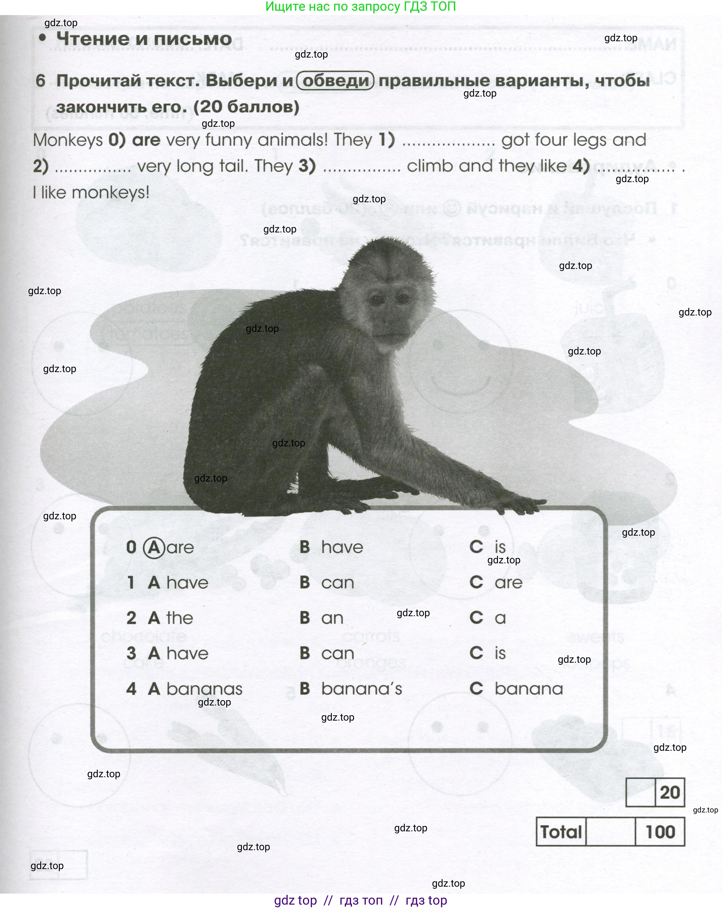 Английский язык (english), 2 класс контрольные задания (test booklet), авторы: Баранова Ксения Михайловна (Baranova Ksenia), Дули Дженни (Dooley Jenny), Копылова Виктория Викторовна (Kopylova Victoria), Мильруд Радислав Петрович (Millrood Radislav), Эванс Вирджиния (Evans Virginia), издательство Просвещение, Москва, 2023, серого цвета, страница 53, номер 6, Условие