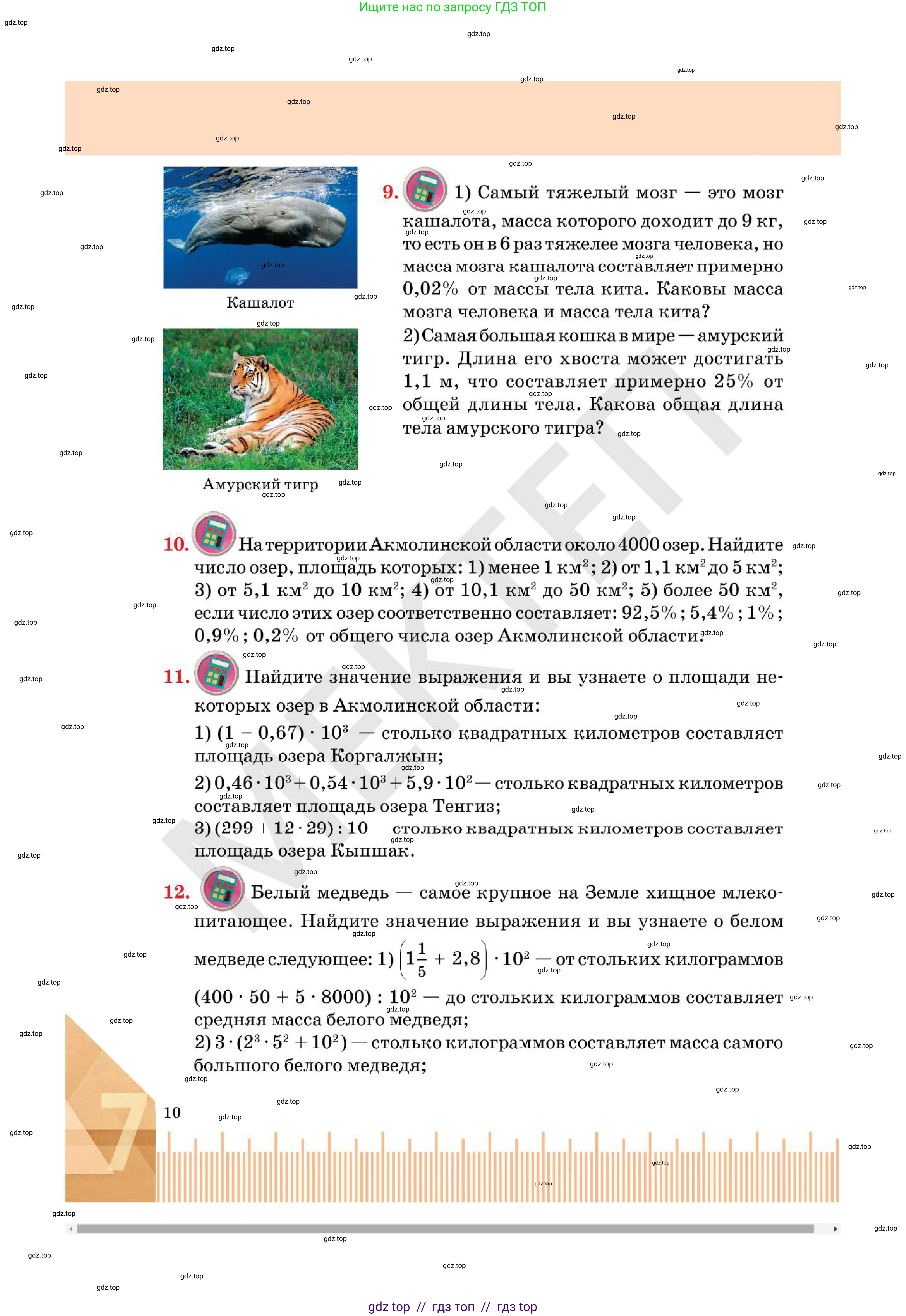 Алгебра, 7 класс Учебник, авторы: Абылкасымова Алма Есимбековна, Кучер Татьяна Павловна, Корчевский Владимир Евгеньевич, Жумагулова Зауре Абдыкеновна, издательство Мектеп, Алматы, 2025, зелёного цвета, страница 10