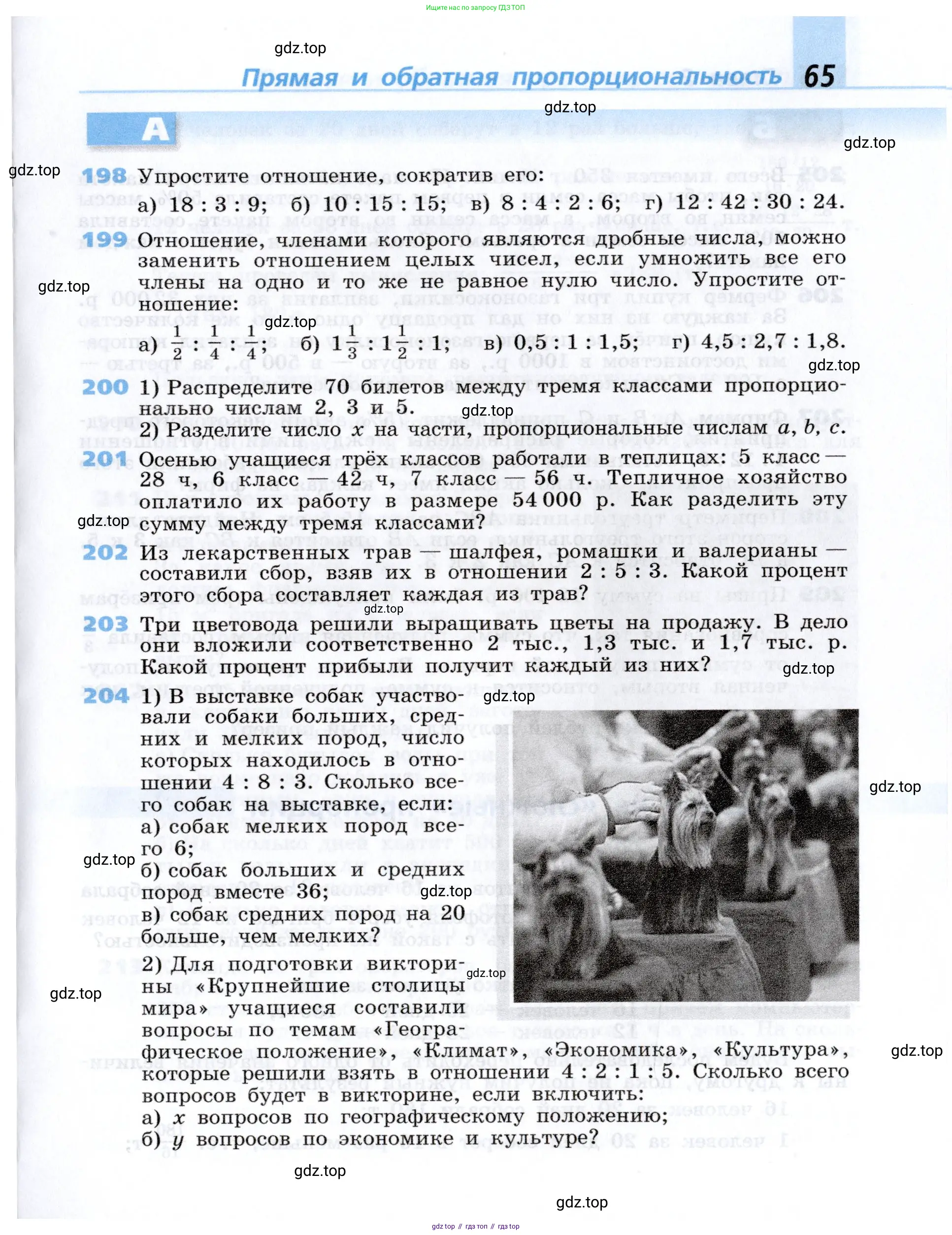 Алгебра, 7 класс Учебник, авторы: Дорофеев Георгий Владимирович, Суворова Светлана Борисовна, Бунимович Евгений Абрамович, Кузнецова Людмила Викторовна, Минаева Светлана Станиславовна, Рослова Лариса Олеговна, издательство Просвещение, Москва, 2019 - 2022, белого цвета, страница 65