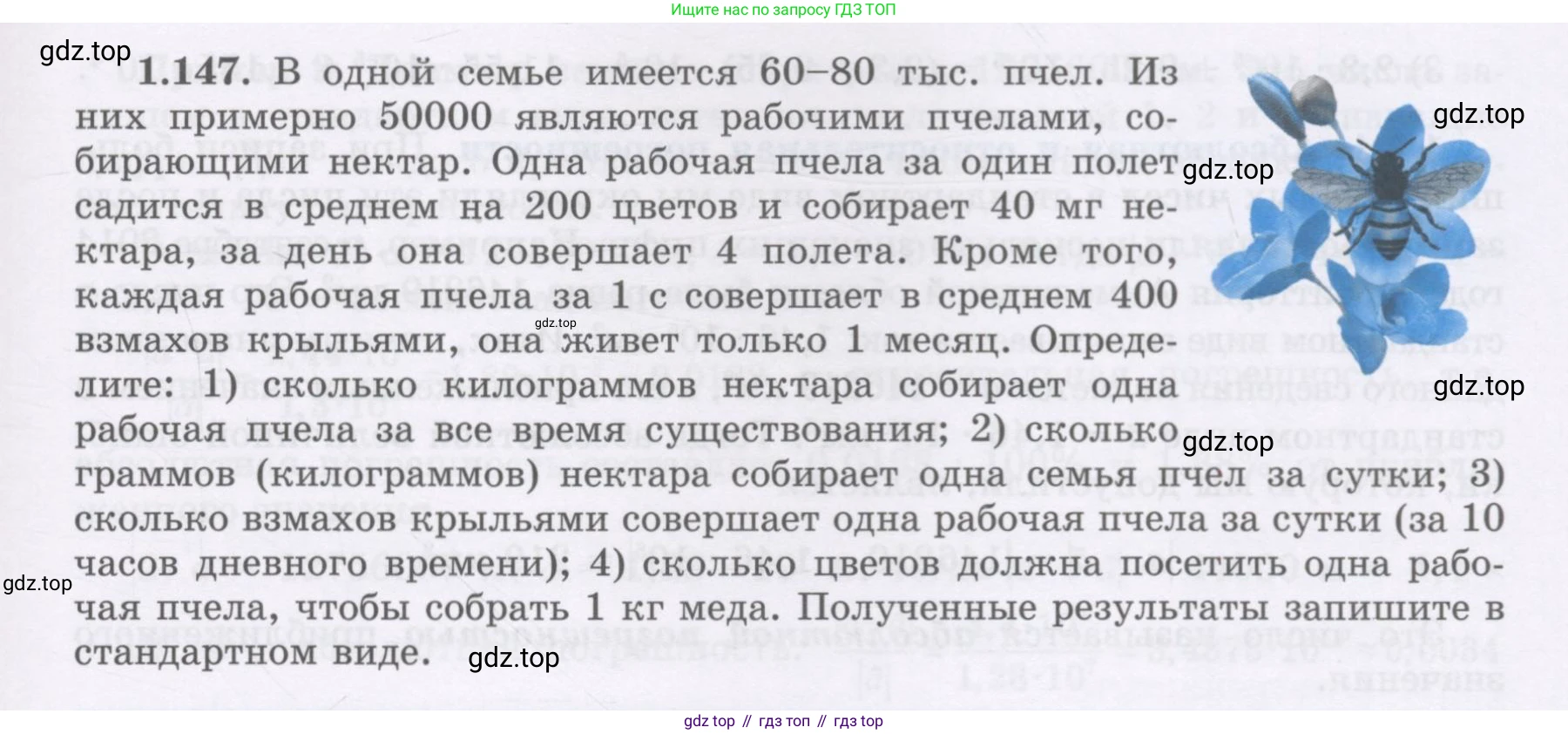 ГДЗ Алгебра, 7 класс Учебник, авторы: Шыныбеков Абдухали Насырович, Шыныбеков Данияр Абдухалиевич, издательство Атамұра, Алматы, 2017, зелёного цвета, страница 41, номер 1.147, Условие (рус)