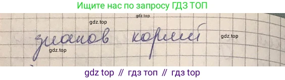 ГДЗ Алгебра, 8 класс Учебник, авторы: Абылкасымова Алма Есимбековна, Кучер Татьяна Павловна, Корчевский Владимир Евгеньевич, Жумагулова Зауре Абдыкеновна, издательство Мектеп, Алматы, 2018, страница 40, Решение (продолжение 3)