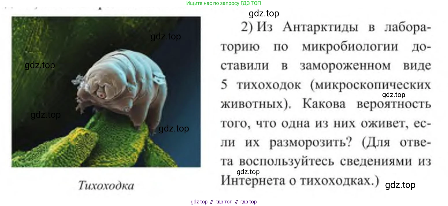Алгебра, 9 класс Учебник, авторы: Солтан Генадий Николаевич, Солтан Алла Евгеньевна, Жумадилова Аманбала Жумадиловна, издательство Кокшетау, Алматы, 2019, страница 244, Условие