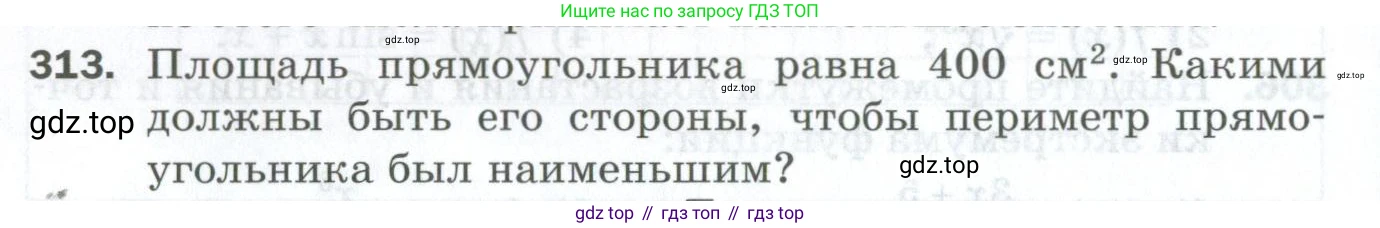 ГДЗ Алгебра, 10 класс Дидактические материалы, авторы: Мерзляк Аркадий Григорьевич, Полонский Виталий Борисович, Рябинович Ефим Михайлович, Якир Михаил Семёнович, издательство Просвещение, Москва, 2020, страница 106, номер 313, Условие