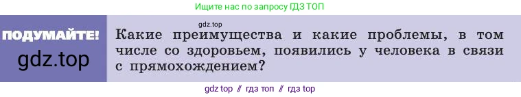 Биология, 8 класс Учебник, авторы: Пасечник Владимир Васильевич, Каменский Андрей Александрович, Швецов Глеб Геннадьевич, издательство Просвещение, Москва, 2019, страница 13, Условие