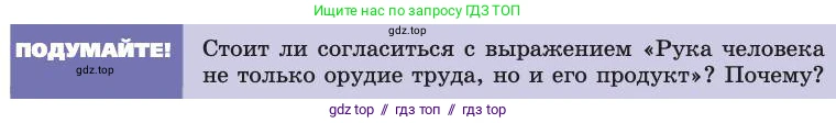 Биология, 8 класс Учебник, авторы: Пасечник Владимир Васильевич, Каменский Андрей Александрович, Швецов Глеб Геннадьевич, издательство Просвещение, Москва, 2019, страница 17, Условие